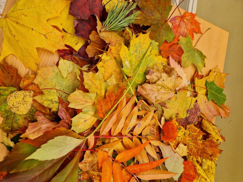 Lekcje jesienią malowane…